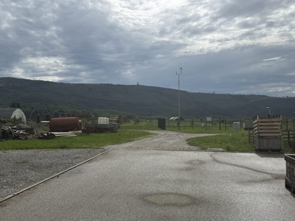 Zelena znanja v kmetijstvu ter sistemski razvoj poklicnega izobraževanja